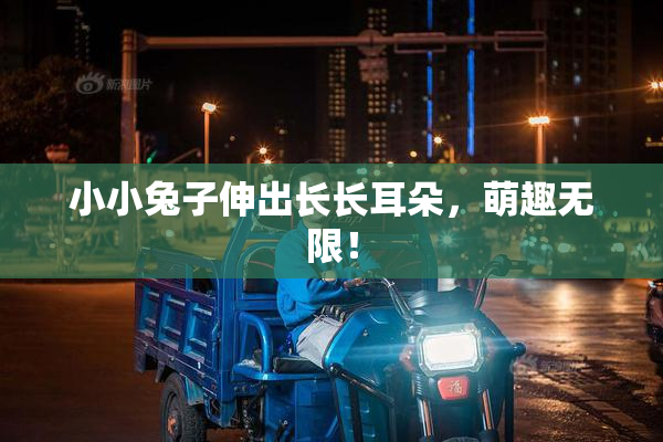 小小兔子伸出长长耳朵，萌趣无限！