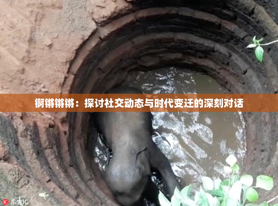 锕锵锵锵：探讨社交动态与时代变迁的深刻对话