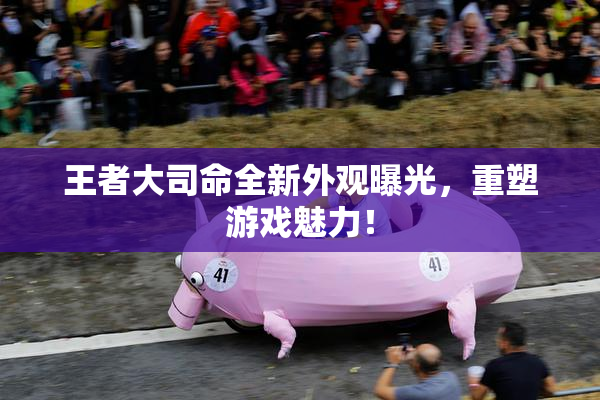王者大司命全新外观曝光，重塑游戏魅力！