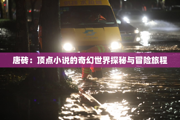 唐砖：顶点小说的奇幻世界探秘与冒险旅程