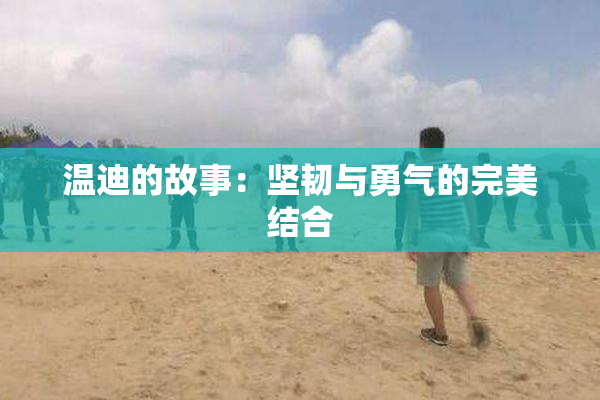 温迪的故事：坚韧与勇气的完美结合