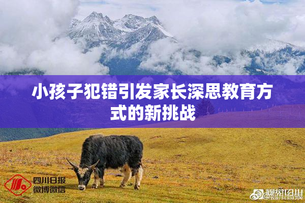 小孩子犯错引发家长深思教育方式的新挑战