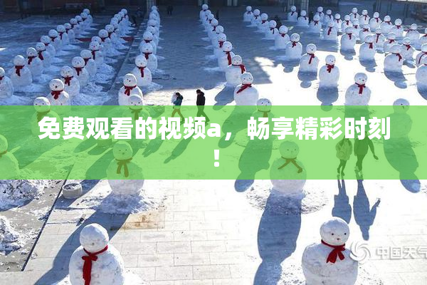 免费观看的视频a，畅享精彩时刻！