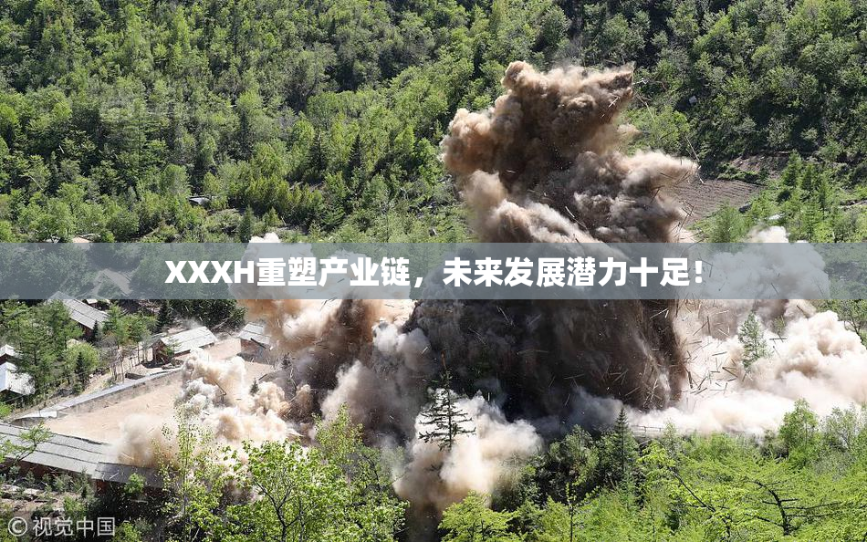 XXXH重塑产业链，未来发展潜力十足！