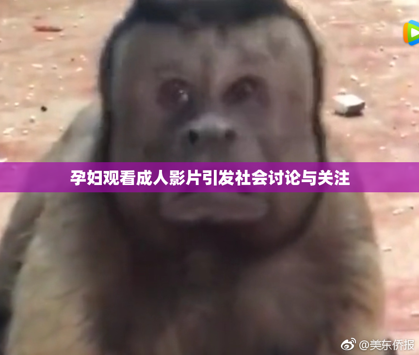 孕妇观看成人影片引发社会讨论与关注