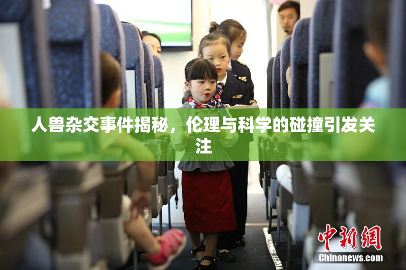 人兽杂交事件揭秘，伦理与科学的碰撞引发关注