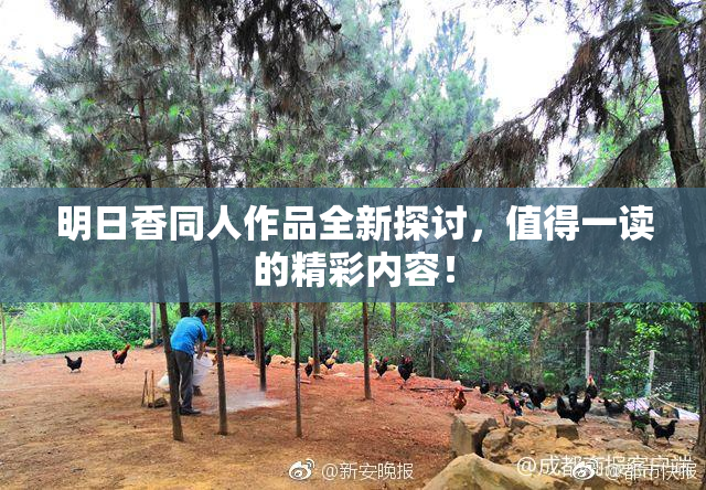 明日香同人作品全新探讨，值得一读的精彩内容！