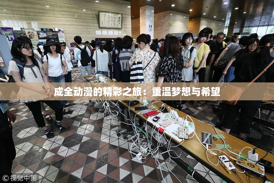 成全动漫的精彩之旅：重温梦想与希望