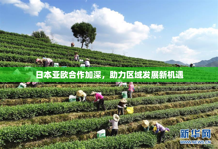 日本亚欧合作加深，助力区域发展新机遇
