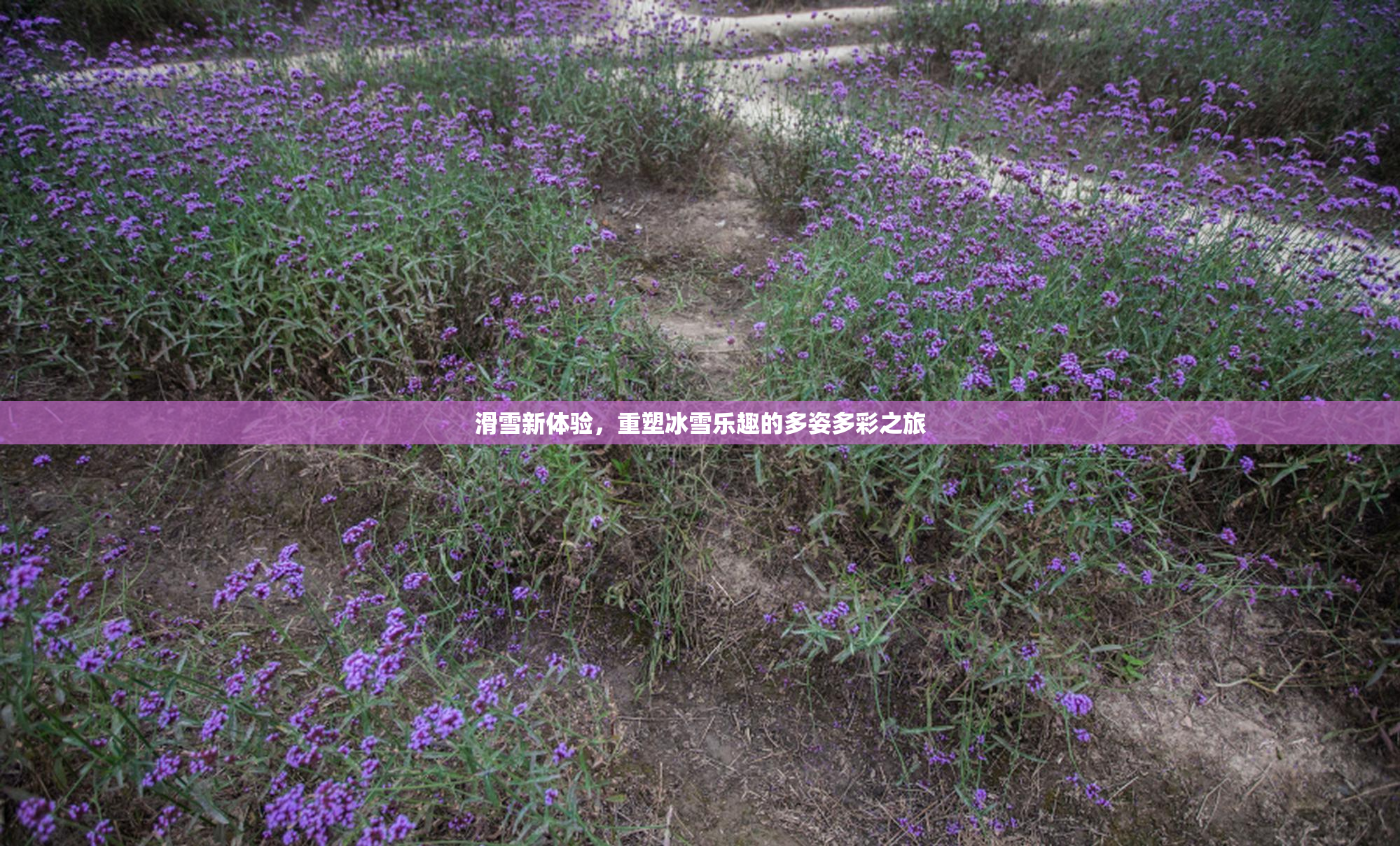 滑雪新体验，重塑冰雪乐趣的多姿多彩之旅
