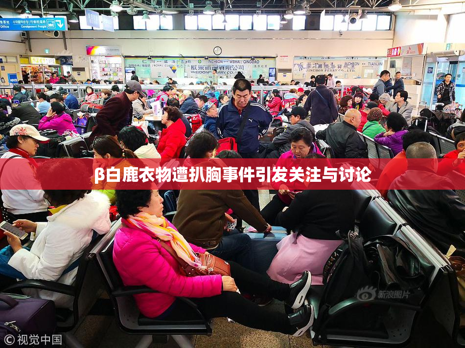 β白鹿衣物遭扒胸事件引发关注与讨论