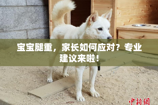 宝宝腿重，家长如何应对？专业建议来啦！