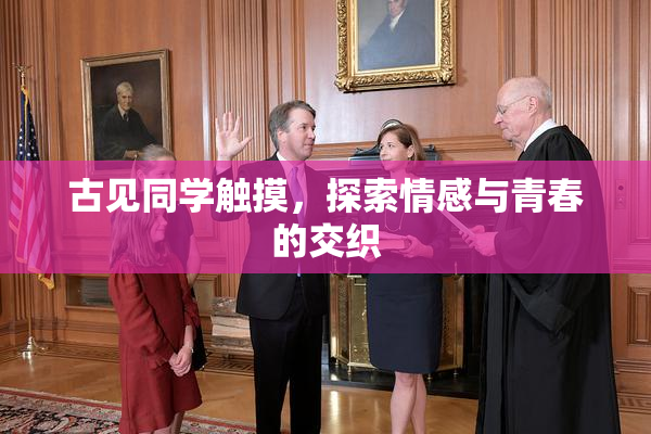 古见同学触摸，探索情感与青春的交织