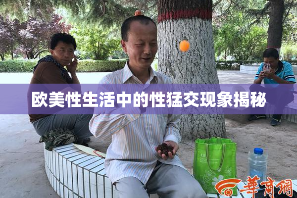 欧美性生活中的性猛交现象揭秘