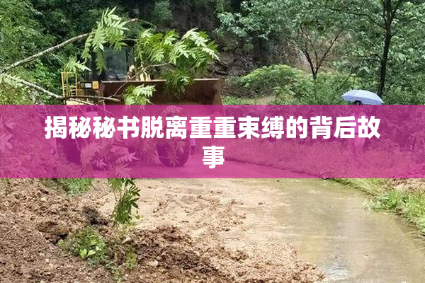 揭秘秘书脱离重重束缚的背后故事