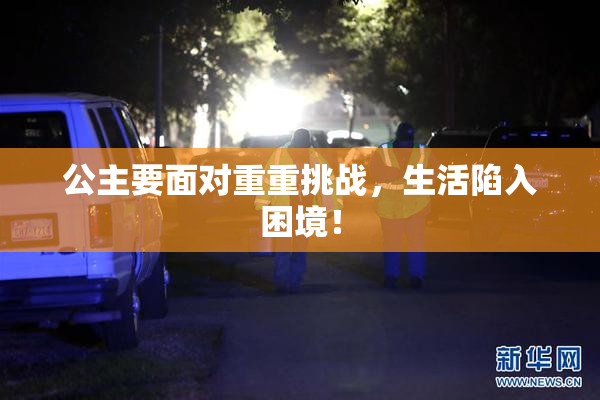 公主要面对重重挑战，生活陷入困境！