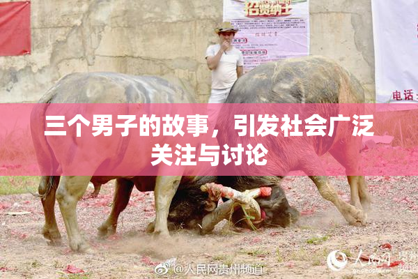 三个男子的故事，引发社会广泛关注与讨论