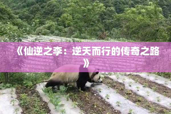 《仙逆之李：逆天而行的传奇之路》