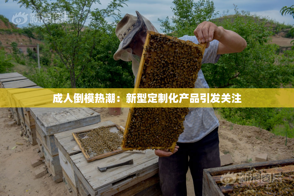 成人倒模热潮：新型定制化产品引发关注