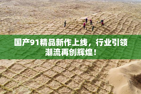 国产91精品新作上线，行业引领潮流再创辉煌！