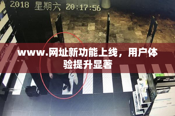 www.网址新功能上线，用户体验提升显著