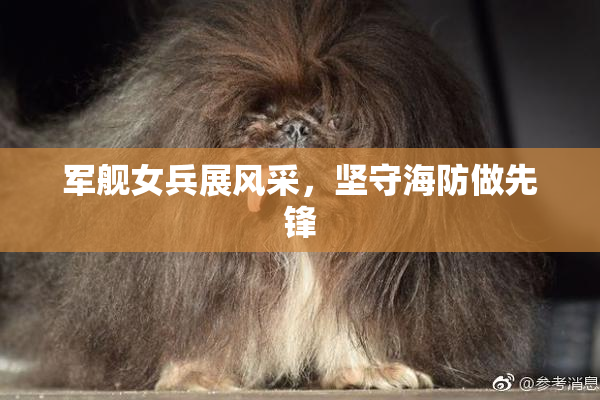 军舰女兵展风采，坚守海防做先锋