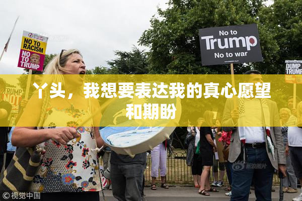 丫头，我想要表达我的真心愿望和期盼