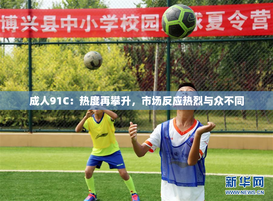 成人91C：热度再攀升，市场反应热烈与众不同