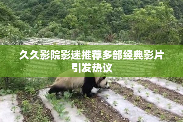 久久影院影迷推荐多部经典影片引发热议