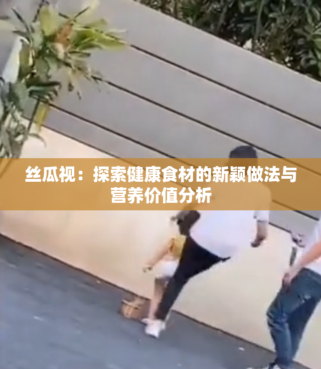 丝瓜视：探索健康食材的新颖做法与营养价值分析
