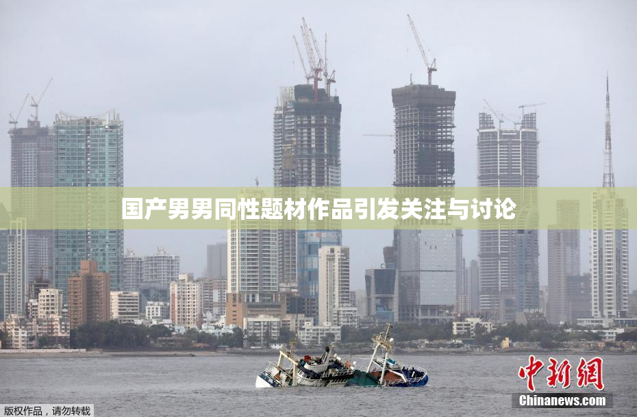国产男男同性题材作品引发关注与讨论