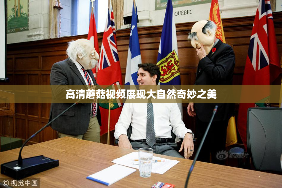 高清蘑菇视频展现大自然奇妙之美