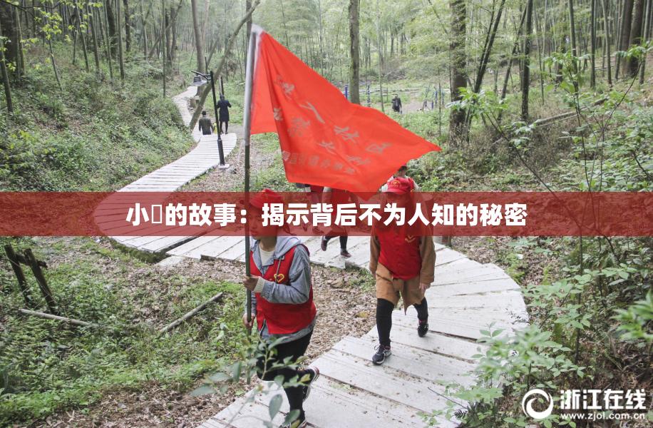 小泬的故事：揭示背后不为人知的秘密