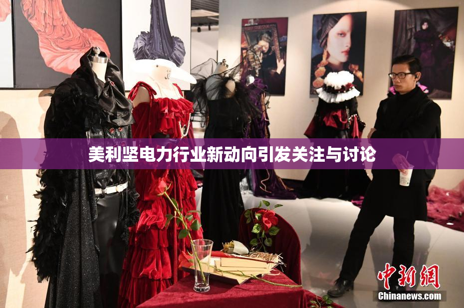 美利坚电力行业新动向引发关注与讨论