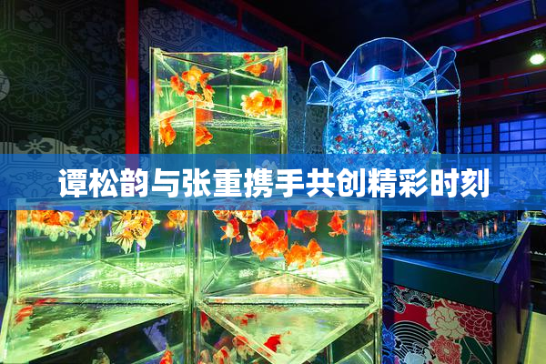 谭松韵与张重携手共创精彩时刻