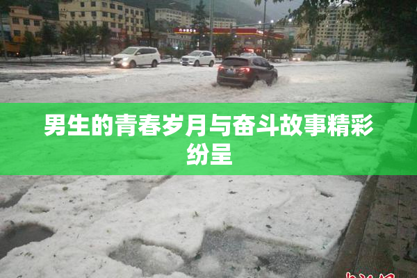 男生的青春岁月与奋斗故事精彩纷呈