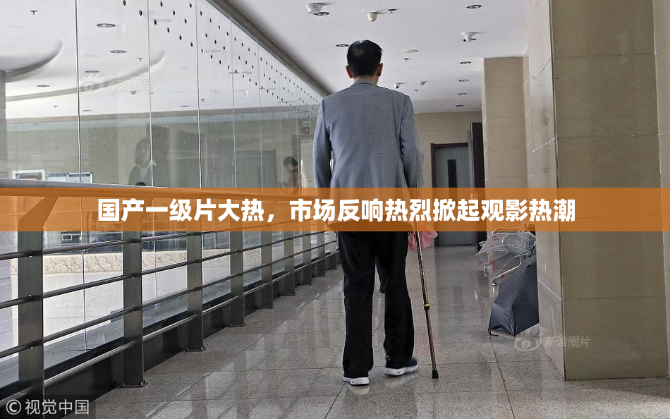 国产一级片大热，市场反响热烈掀起观影热潮