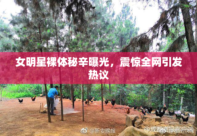 女明星裸体秘辛曝光，震惊全网引发热议