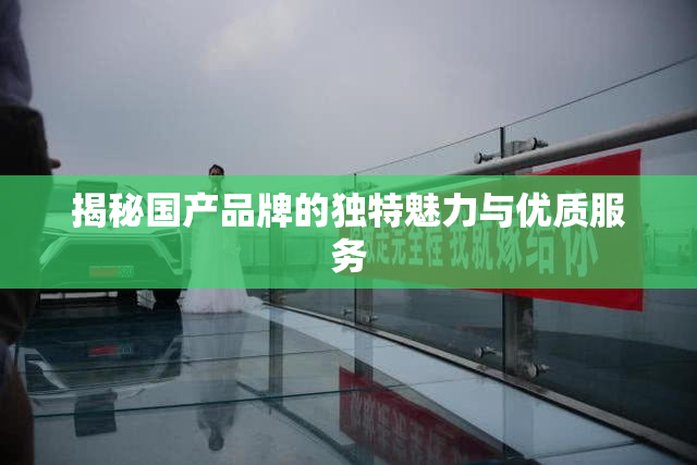 揭秘国产品牌的独特魅力与优质服务