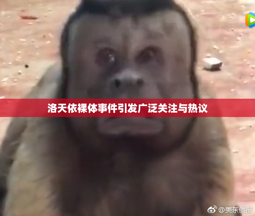 洛天依裸体事件引发广泛关注与热议