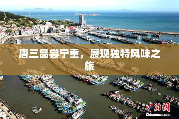 唐三品尝宁重，展现独特风味之旅