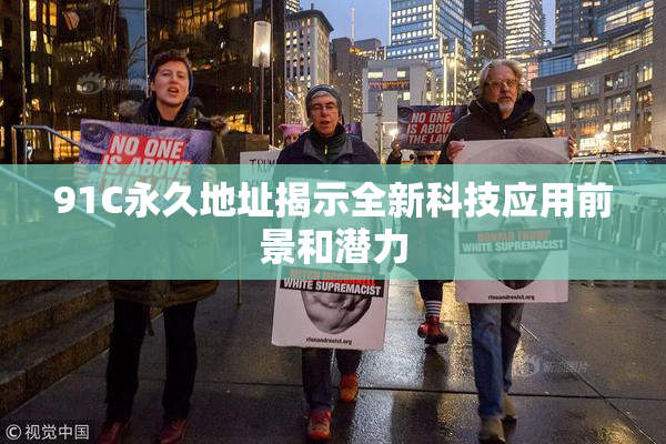 91C永久地址揭示全新科技应用前景和潜力
