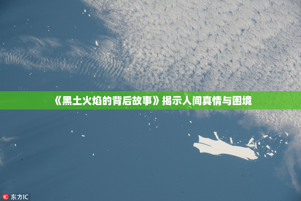 《黑土火焰的背后故事》揭示人间真情与困境