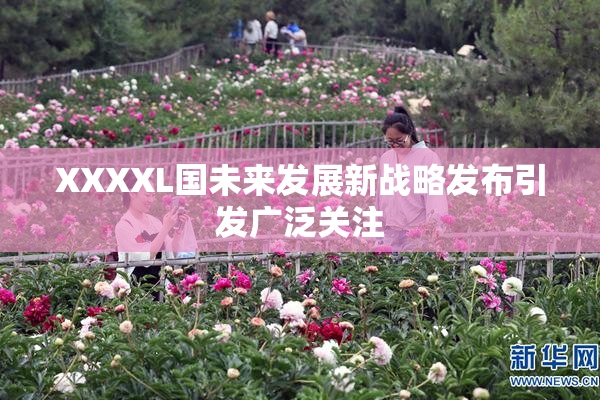 XXXXL国未来发展新战略发布引发广泛关注