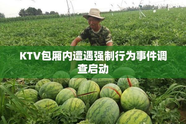 KTV包厢内遭遇强制行为事件调查启动