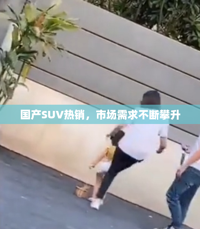 国产SUV热销，市场需求不断攀升