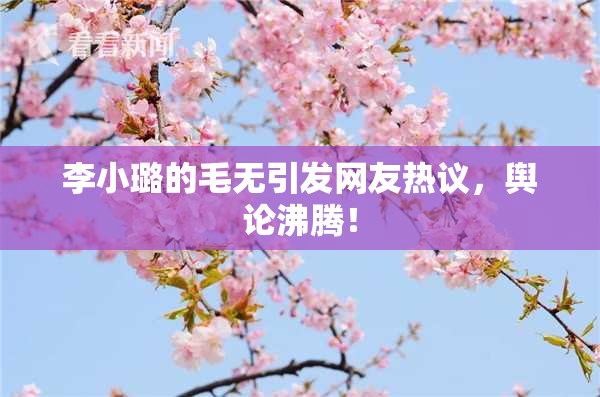 李小璐的毛无引发网友热议，舆论沸腾！