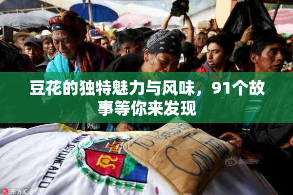 豆花的独特魅力与风味，91个故事等你来发现
