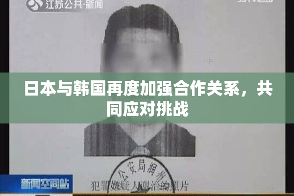 日本与韩国再度加强合作关系，共同应对挑战