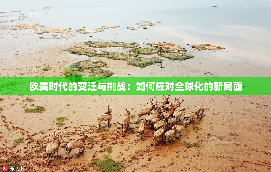 欧美时代的变迁与挑战：如何应对全球化的新局面